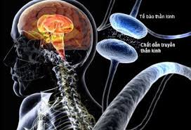 Bệnh Parkinson – Khi cơ thể dần mất kiểm soát